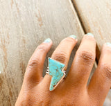 Baja Bolt Ring